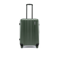 Dark green hard-shell suitcase back view with recessed grips and four wheels