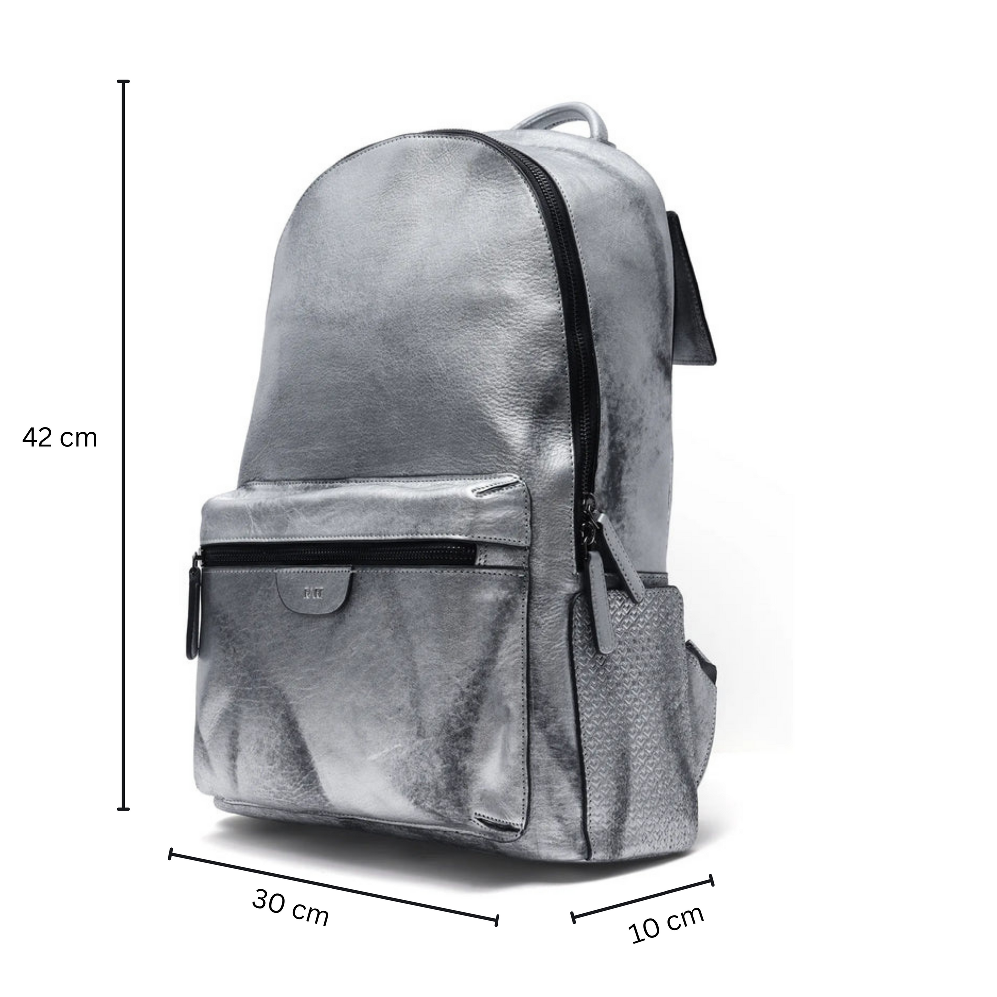 Rare Rabbit Arte (Leather) Backpack-One Size-Metalic Foil