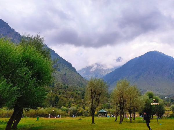 Kashmir · 35-50 Group Trip