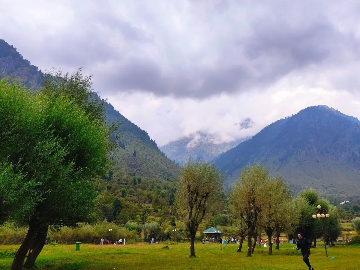 Winter Kashmir · Christmas & New Year